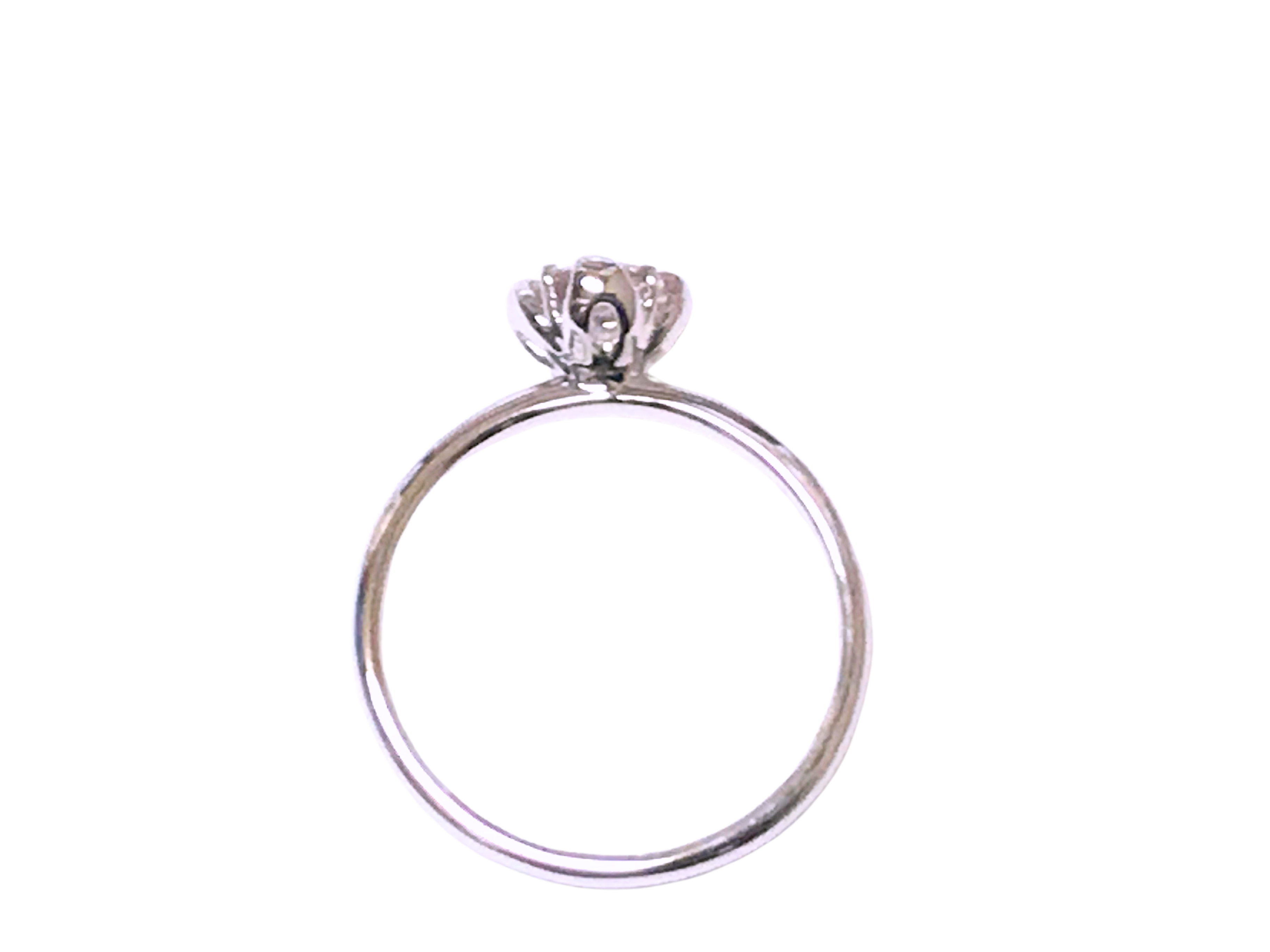 エレガント・フラワー